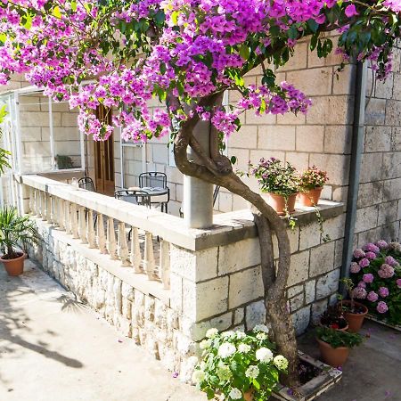 Apartments Bungevilla Dubrovnik Luaran gambar